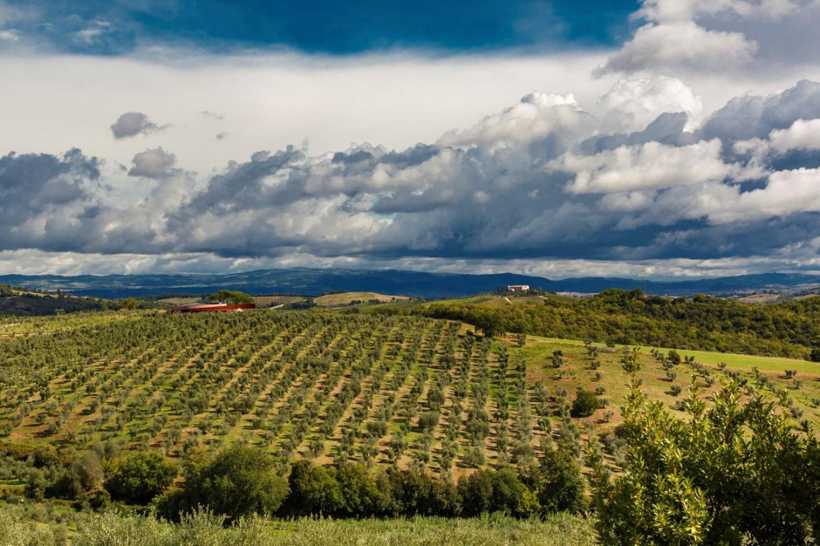 Cinigiano Tenuta Di Montecucco - Collemassari Hospitality מראה חיצוני תמונה