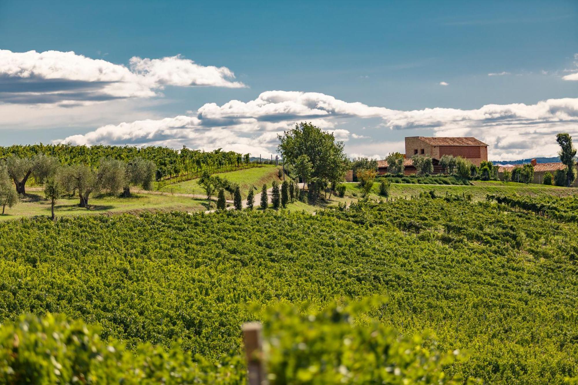 Cinigiano Tenuta Di Montecucco - Collemassari Hospitality מראה חיצוני תמונה