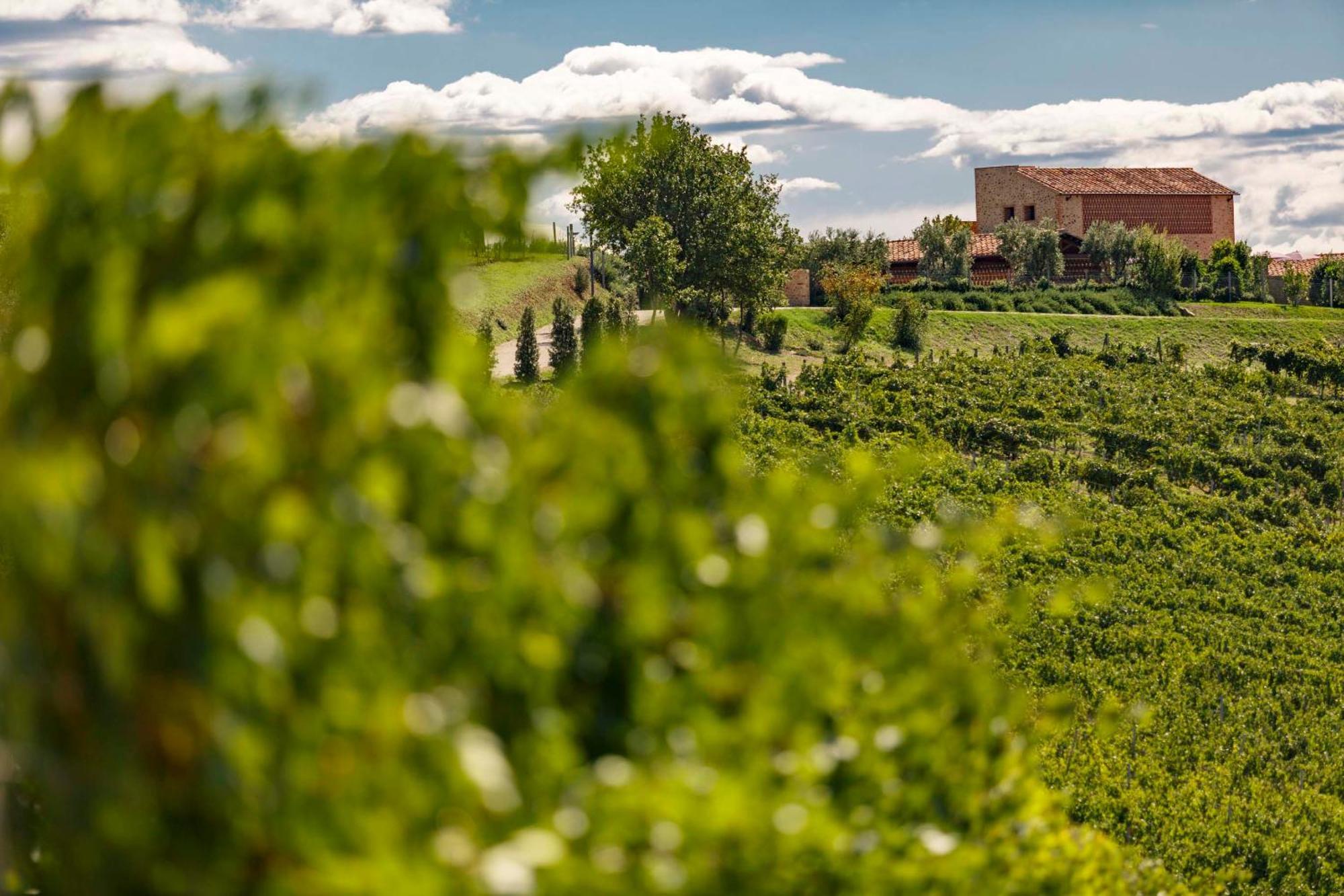Cinigiano Tenuta Di Montecucco - Collemassari Hospitality מראה חיצוני תמונה